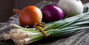 Yeşil Soğan Anne Sütüne Gaz Yapar mı?